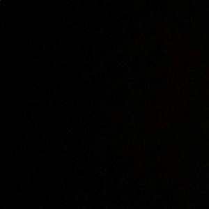 Meet your Posher, Shane